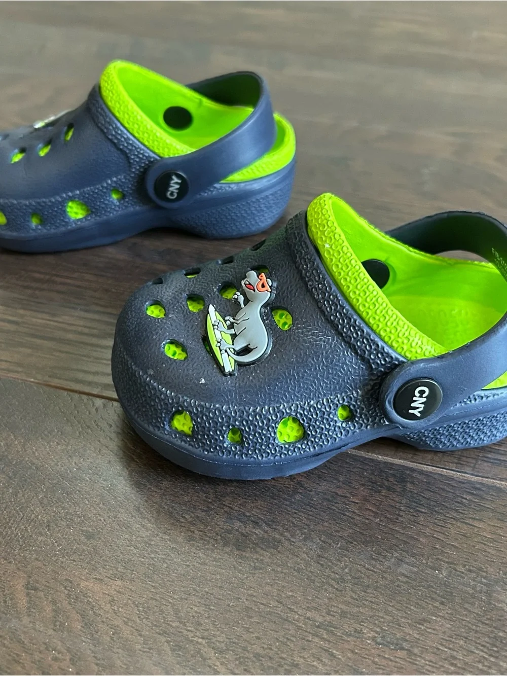 Capelli New York Dinosaur EVA Clog Toddler Size 5